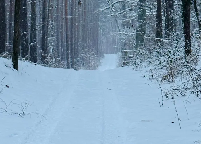 Apartment Relax Huetten &