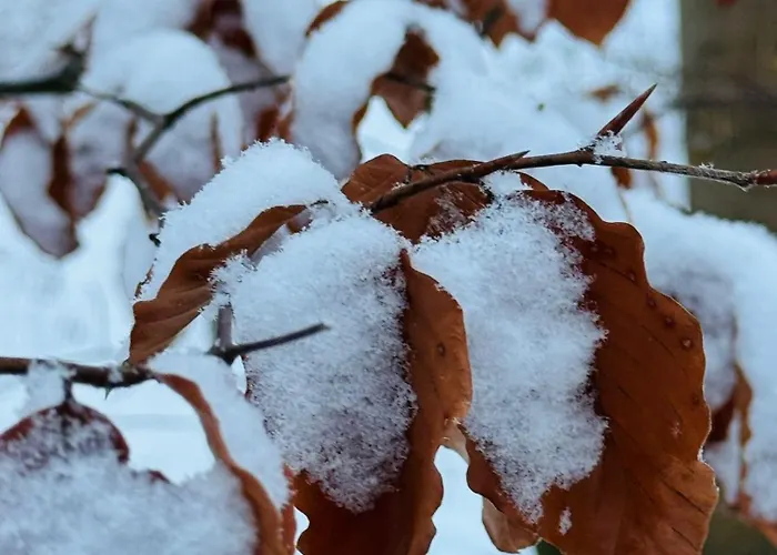 Relax Huetten & Apartment *